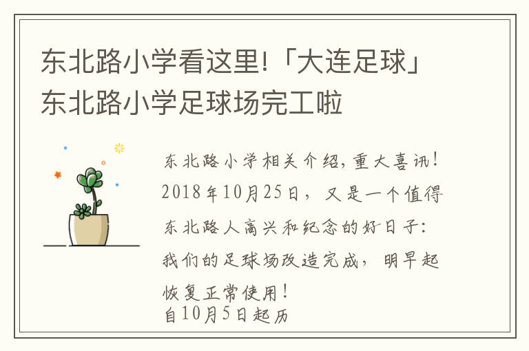 东北路小学看这里!「大连足球」东北路小学足球场完工啦