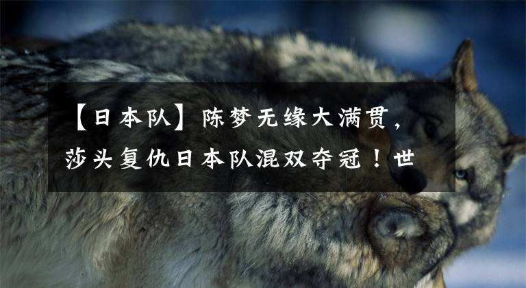 【日本队】陈梦无缘大满贯，莎头复仇日本队混双夺冠！世乒赛“思货”（四）