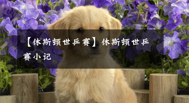 【休斯顿世乒赛】休斯顿世乒赛小记