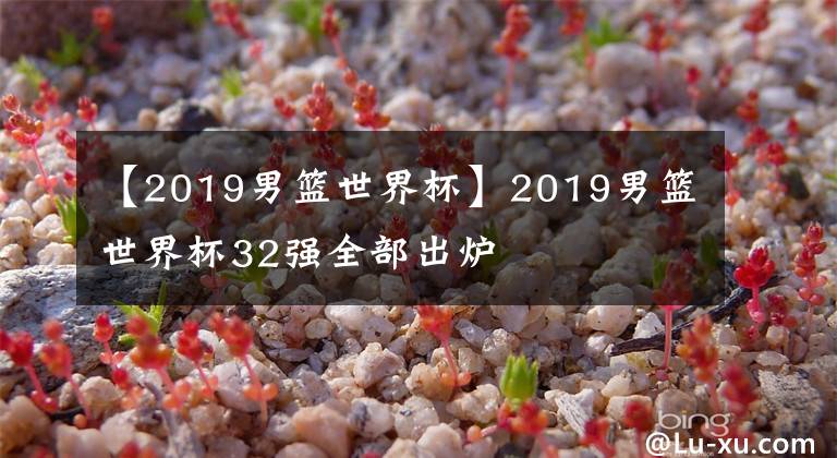【2019男篮世界杯】2019男篮世界杯32强全部出炉