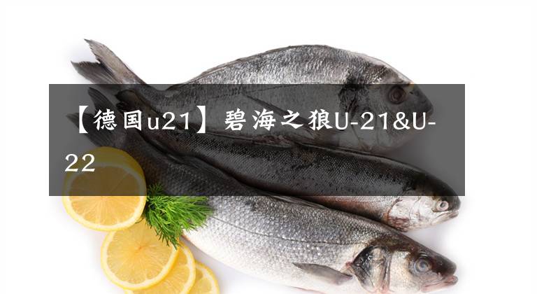 【德国u21】碧海之狼U-21&U-22