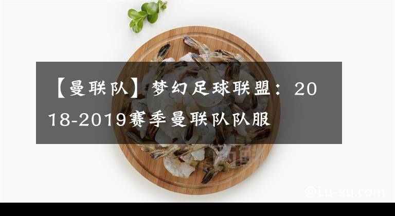 【曼联队】梦幻足球联盟：2018-2019赛季曼联队队服