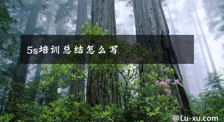 5s培训总结怎么写