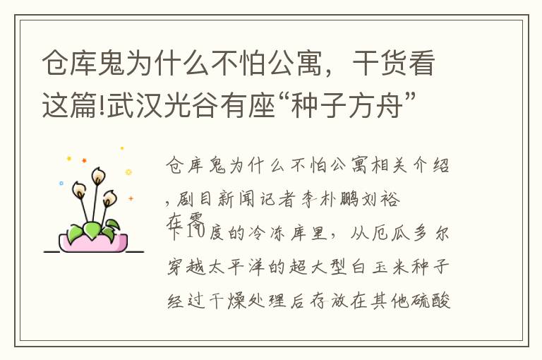 仓库鬼为什么不怕公寓，干货看这篇!武汉光谷有座“种子方舟”，16000余份农业芯片在此冬眠