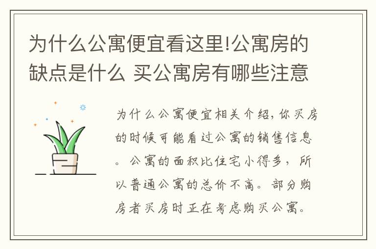 为什么公寓便宜看这里!公寓房的缺点是什么 买公寓房有哪些注意事项