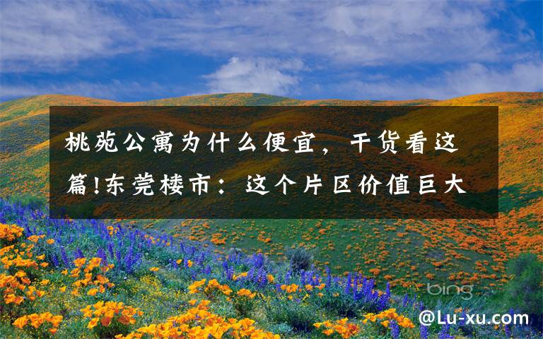 桃苑公寓为什么便宜,干货看这篇!东莞楼市:这个片区价值巨大,买房要注意