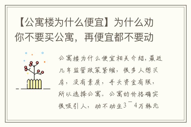 【公寓楼为什么便宜】为什么劝你不要买公寓，再便宜都不要动