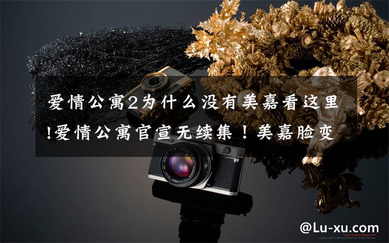 爱情公寓2为什么没有美嘉看这里!爱情公寓官宣无续集!美嘉脸变肿一菲全程眯眼,新演员惨成背景板
