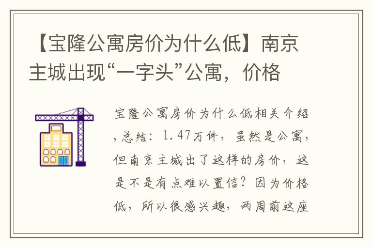 【宝隆公寓房价为什么低】南京主城出现“一字头”公寓,价格不到普通商品房的一半