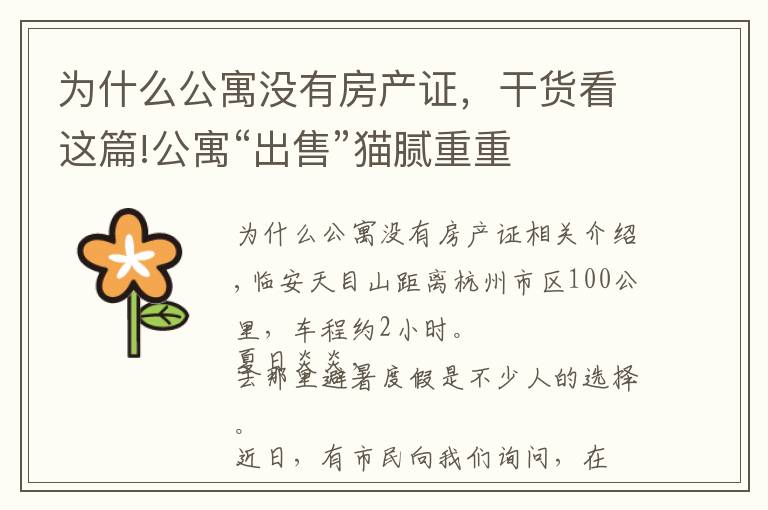 为什么公寓没有房产证,干货看这篇!公寓“出售”猫腻重重