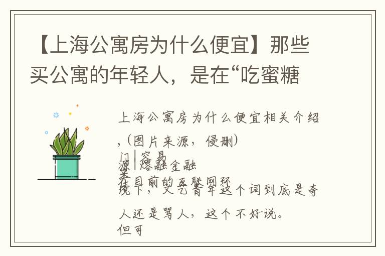 【上海公寓房为什么便宜】那些买公寓的年轻人,是在“吃蜜糖”还是“饮砒霜”?