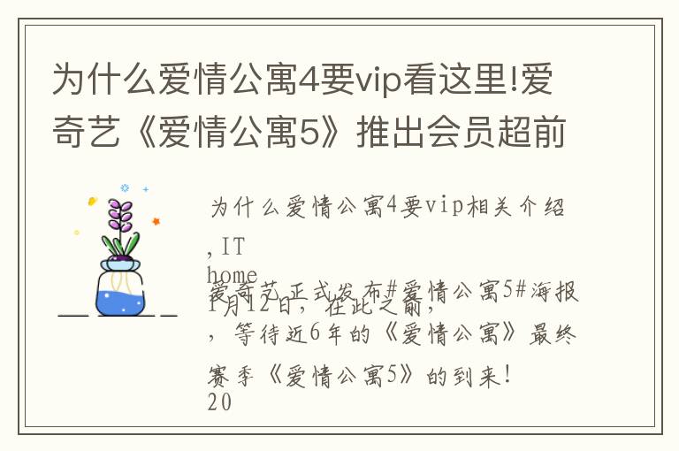 为什么爱情公寓4要vip看这里!爱奇艺《爱情公寓5》推出会员超前点播：最后12集打包售价25元