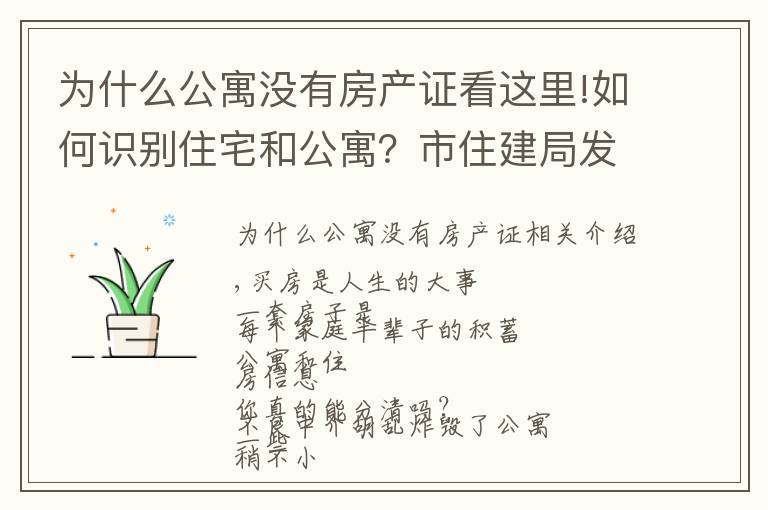 为什么公寓没有房产证看这里!如何识别住宅和公寓?市住建局发布温馨提示!