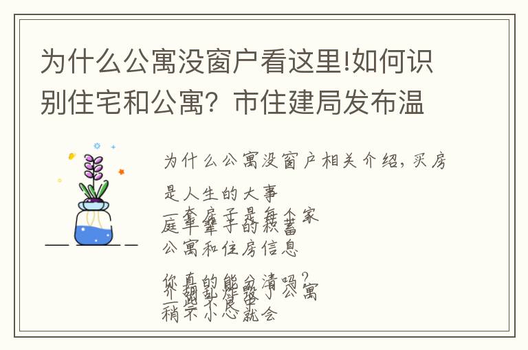 为什么公寓没窗户看这里!如何识别住宅和公寓?市住建局发布温馨提示!
