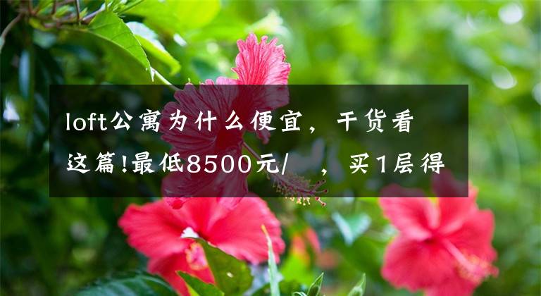 loft公寓为什么便宜，干货看这篇!最低8500元/㎡，买1层得2层，但我劝你谨慎