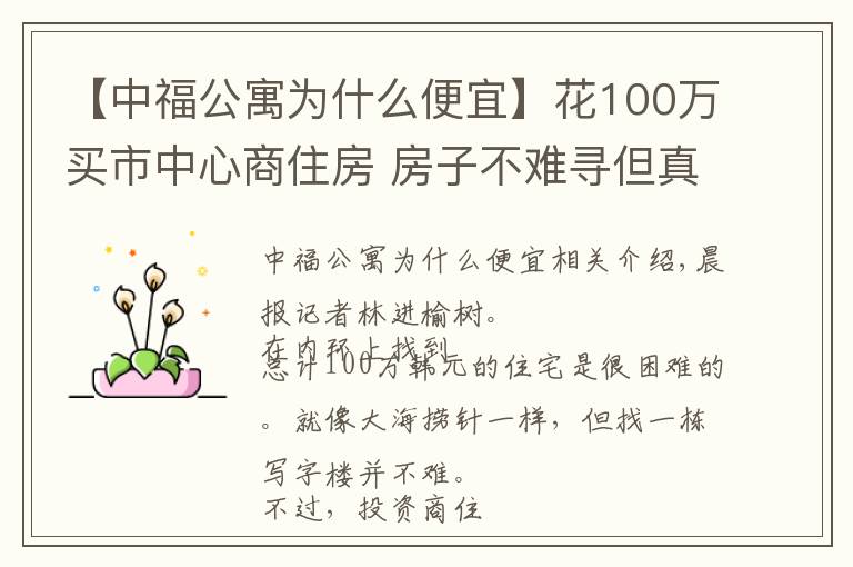 【中福公寓为什么便宜】花100万买市中心商住房 房子不难寻但真的合算吗