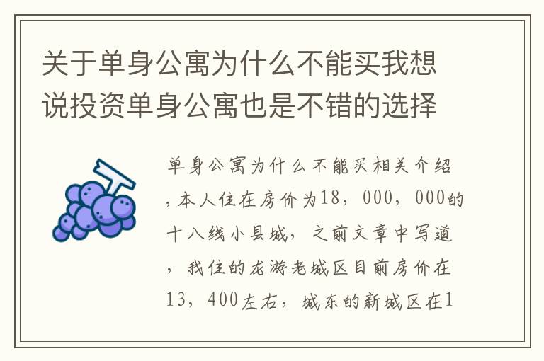 关于单身公寓为什么不能买我想说投资单身公寓也是不错的选择