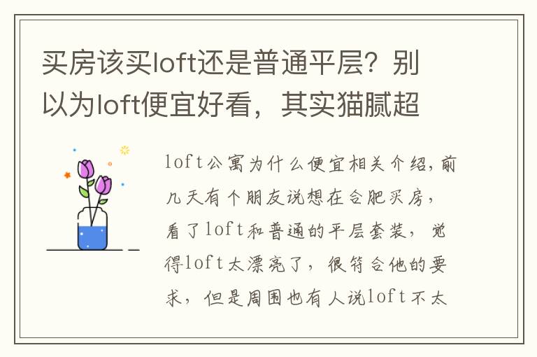 买房该买loft还是普通平层?别以为loft便宜好看,其实猫腻超多!