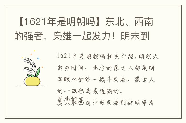 【1621年是明朝吗】东北、西南的强者、枭雄一起发力！明末到底有多悲剧？