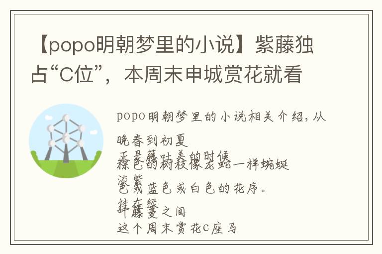 【popo明朝梦里的小说】紫藤独占“C位”，本周末申城赏花就看它