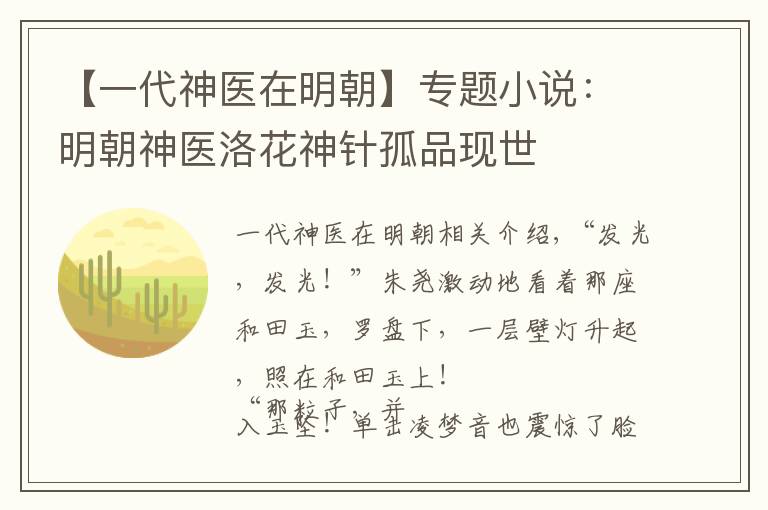 【一代神医在明朝】专题小说:明朝神医洛花神针孤品现世