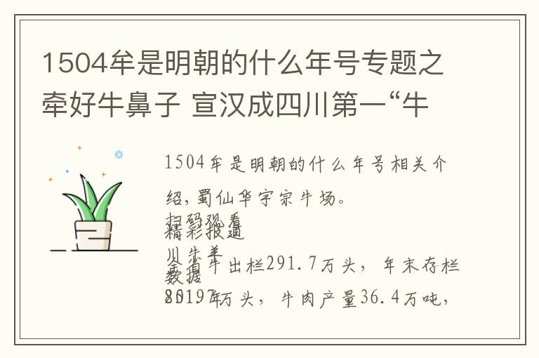1504牟是明朝的什么年号专题之牵好牛鼻子 宣汉成四川第一“牛”县