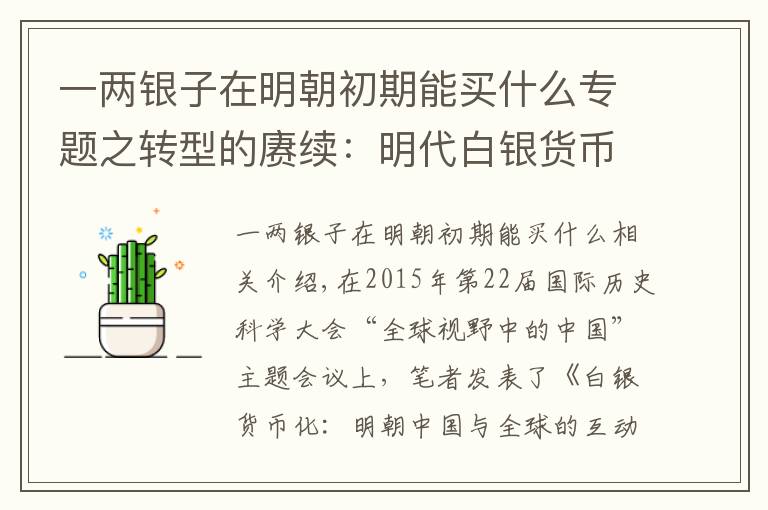 一两银子在明朝初期能买什么专题之转型的赓续:明代白银货币化与清朝建立