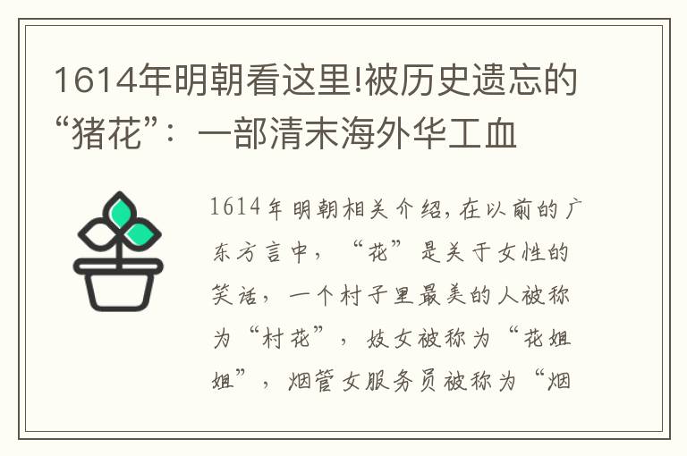 1614年明朝看这里!被历史遗忘的“猪花”:一部清末海外华工血泪史