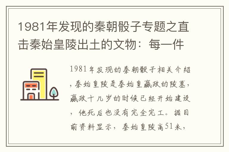 1981年发现的秦朝骰子专题之直击秦始皇陵出土的文物:每一件都价值连城,图四专家也难以置信