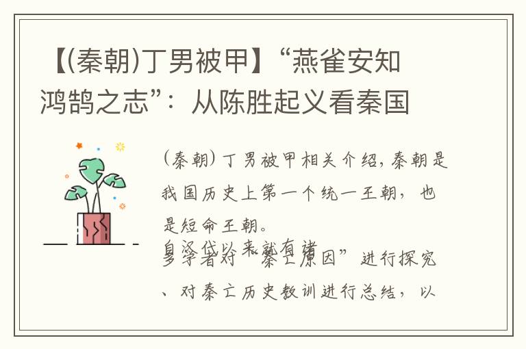 【(秦朝)丁男被甲】“燕雀安知鸿鹄之志”：从陈胜起义看秦国的灭亡