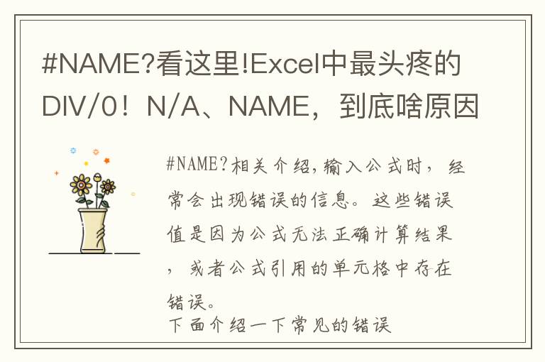 #NAME?看这里!Excel中最头疼的DIV/0!N/A、NAME,到底啥原因?咋解决?