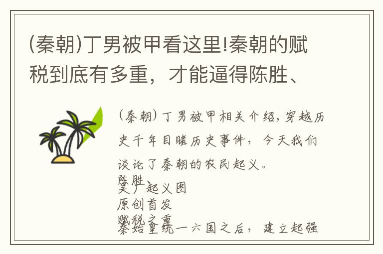 (秦朝)丁男被甲看这里!秦朝的赋税到底有多重，才能逼得陈胜、吴广起义？