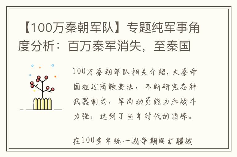 【100万秦朝军队】专题纯军事角度分析:百万秦军消失,至秦国灭亡的主要原因