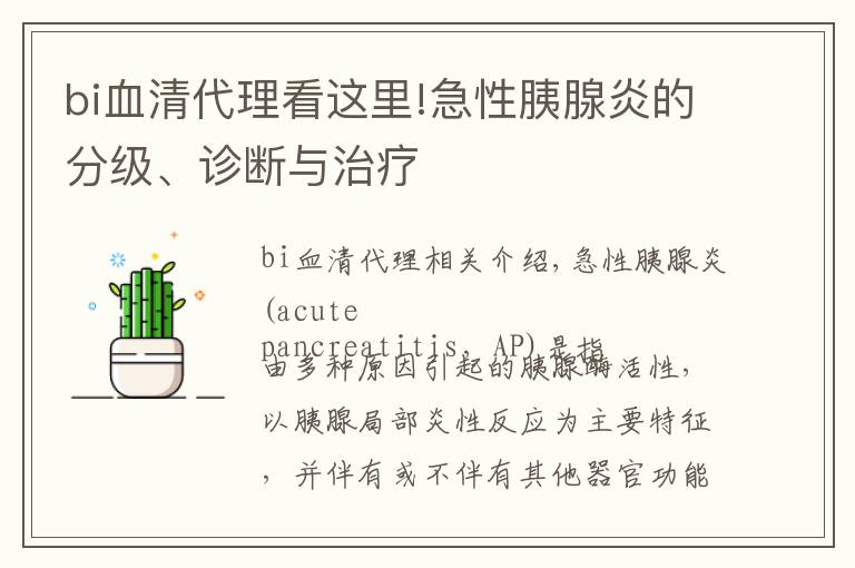 bi血清代理看这里!急性胰腺炎的分级、诊断与治疗