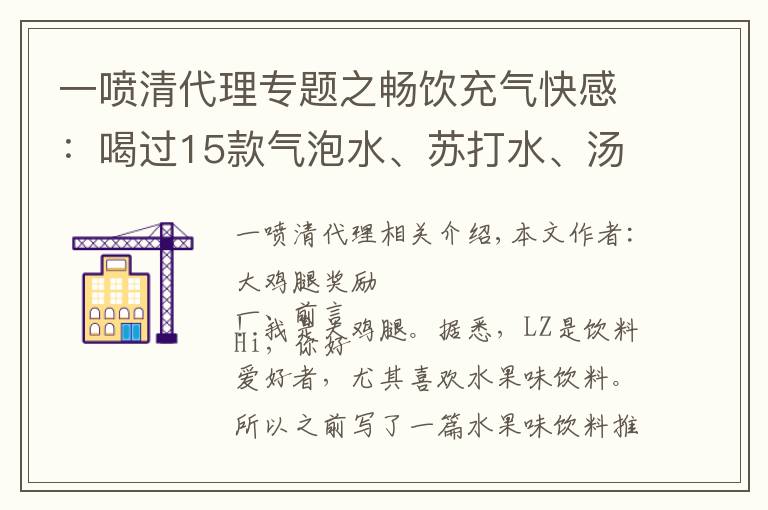 一喷清代理专题之畅饮充气快感：喝过15款气泡水、苏打水、汤力水防踩雷推荐
