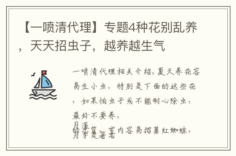 【一喷清代理】专题4种花别乱养,天天招虫子,越养越生气