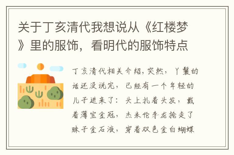 关于丁亥清代我想说从《红楼梦》里的服饰，看明代的服饰特点与清代的剃发易服