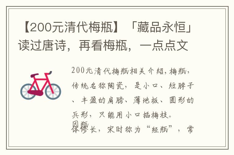 【200元清代梅瓶】「藏品永恒」读过唐诗,再看梅瓶,一点点文化的浸入让人赏心悦目