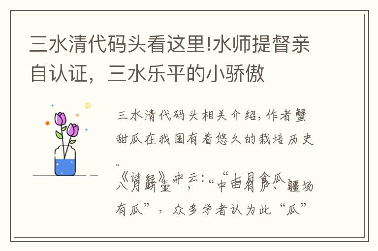 三水清代码头看这里!水师提督亲自认证,三水乐平的小骄傲
