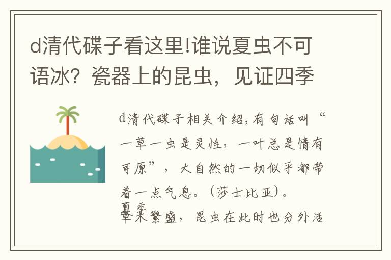 d清代碟子看这里!谁说夏虫不可语冰？瓷器上的昆虫，见证四季风景变化