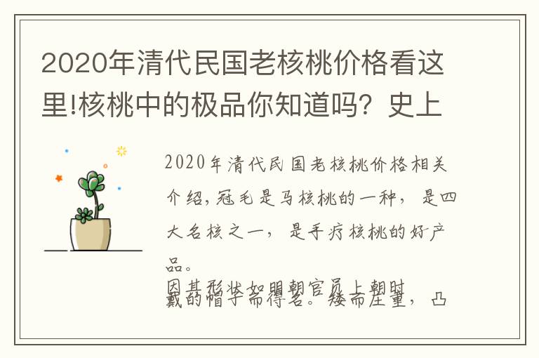 2020年清代民国老核桃价格看这里!核桃中的极品你知道吗？史上最全盘点，文玩核桃的分类及图片！