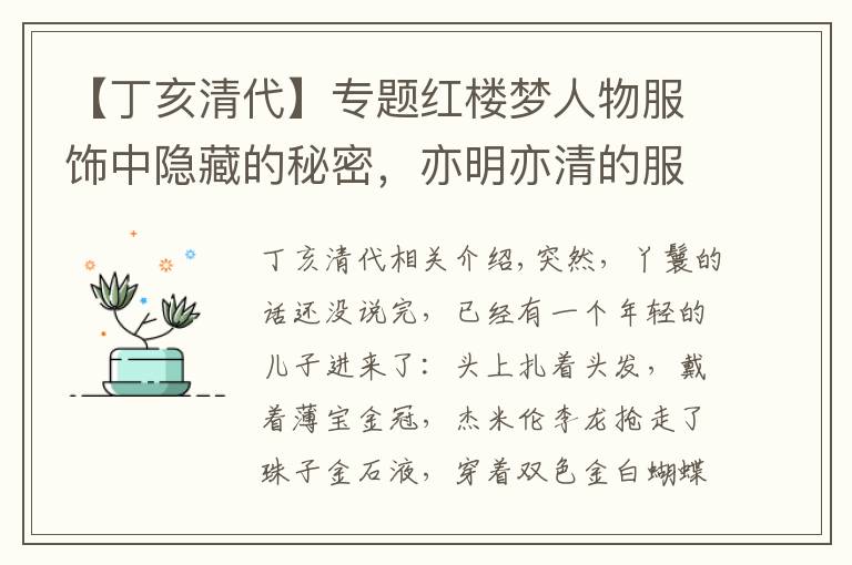 【丁亥清代】专题红楼梦人物服饰中隐藏的秘密,亦明亦清的服饰大有深意