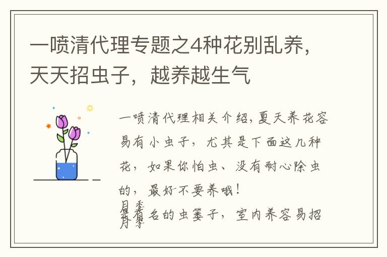 一喷清代理专题之4种花别乱养,天天招虫子,越养越生气