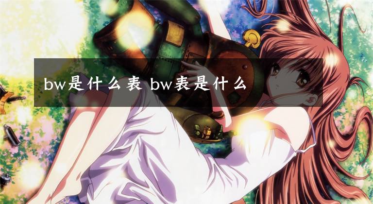bw是什么表 bw表是什么
