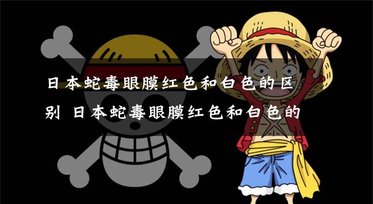 日本蛇毒眼膜红色和白色的区别 日本蛇毒眼膜红色和白色的区别是什么 日本蛇毒黑眼膜和红眼膜的区别