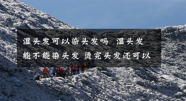 湿头发可以染头发吗 湿头发能不能染头发 烫完头发还可以染头发吗