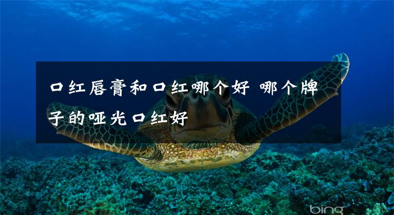 口红唇膏和口红哪个好 哪个牌子的哑光口红好