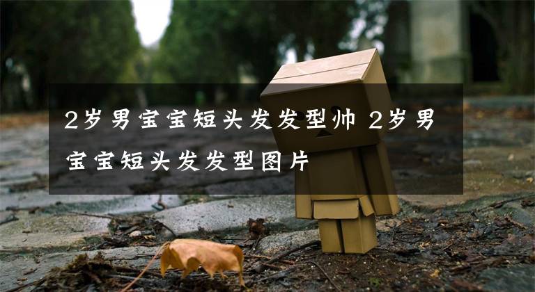 2岁男宝宝短头发发型帅 2岁男宝宝短头发发型图片