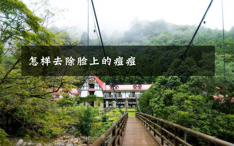 怎样去除脸上的痘痘