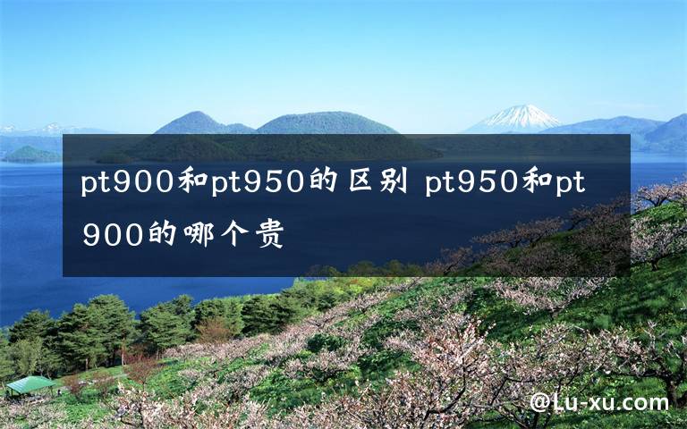 pt900和pt950的区别 pt950和pt900的哪个贵